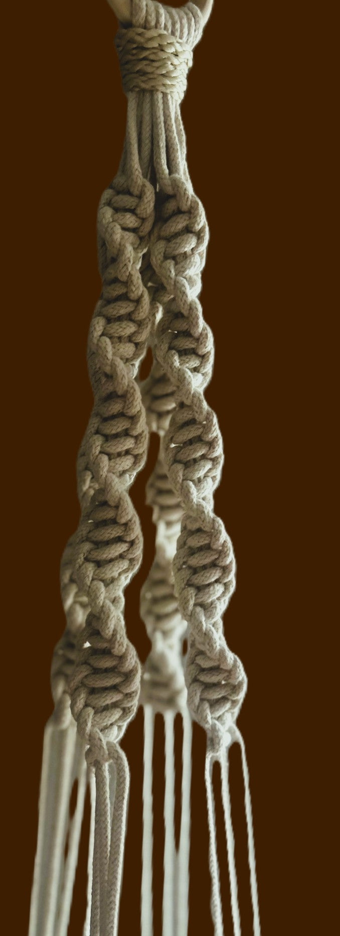 Twisted Love